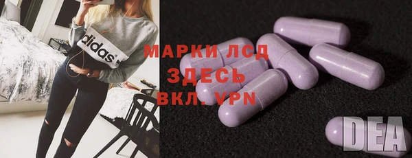 СК Новодвинск