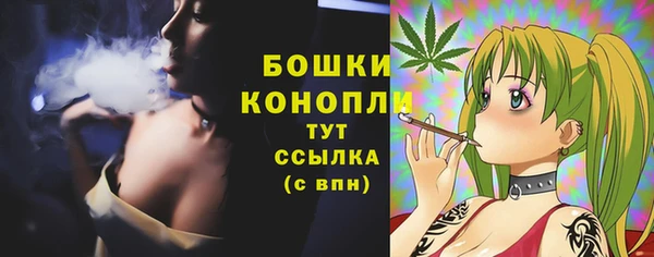 СК Новодвинск