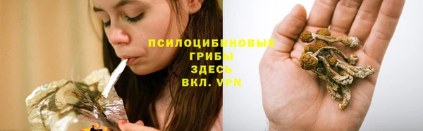 гидропоника Новокубанск