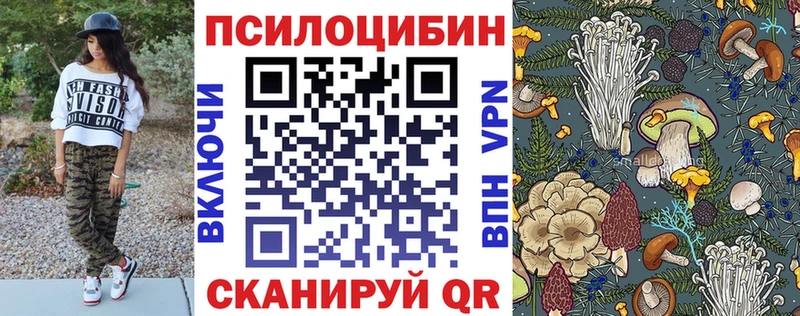 как найти наркотики  Ртищево  Галлюциногенные грибы мицелий 
