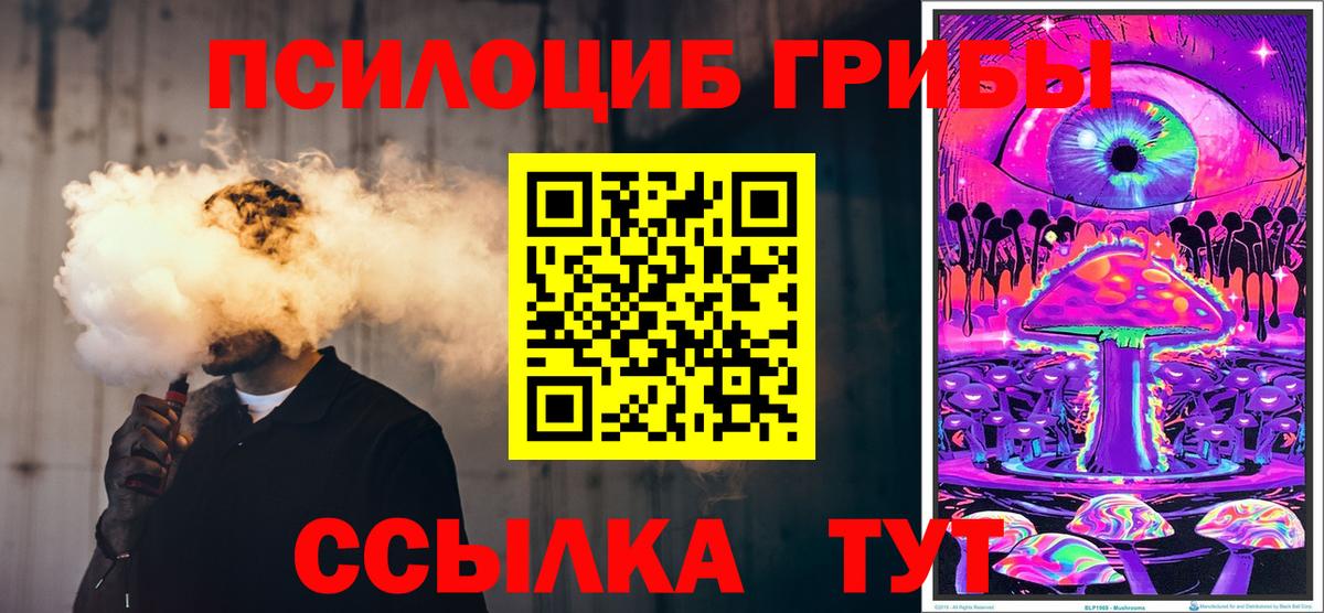 Ртищево  Псилоцибиновые грибы MAGIC MUSHROOMS  Вход с VPN  Галлюциногенные грибы Psilocybine cubensis 