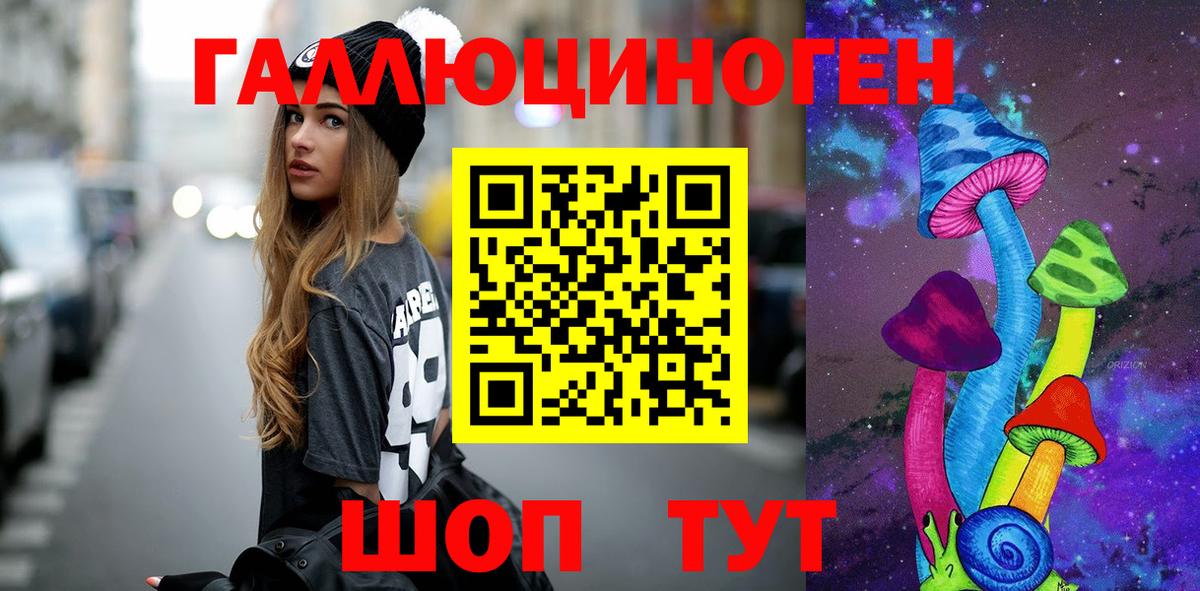 Псилоцибиновые грибы Psilocybe Ртищево