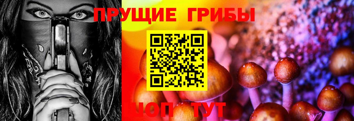 Галлюциногенные грибы Magic Shrooms  Галлюциногенные грибы Cubensis  Ртищево 